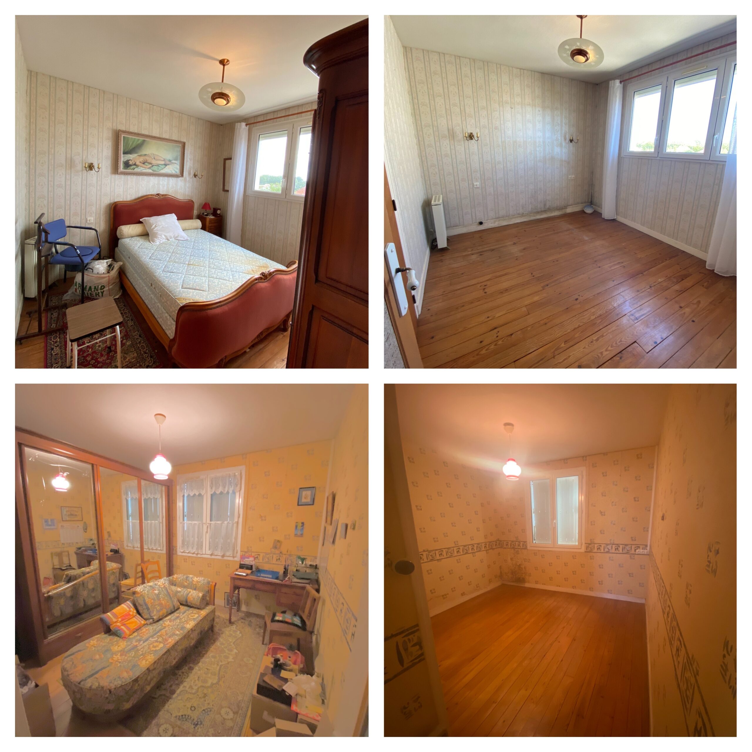 Processed with MOLDIV